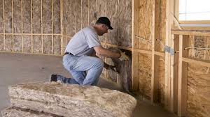 Best Crawl Space Insulation  in Temple, TX